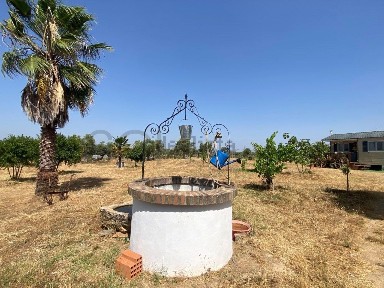 Quinta à venda em Moura e Santo Amador