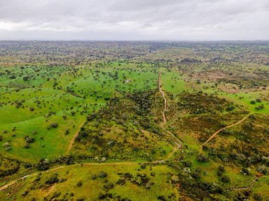 Herdade à venda em Vila Nova de São Bento