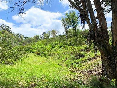 Monte alentejano à venda em N120