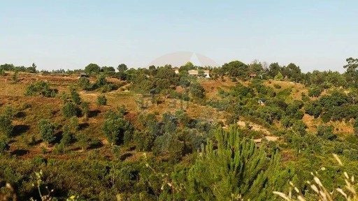 São Teotónio, Casa Nova, Relva Grande s/n