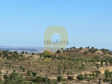 Moura, Beja