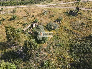 Almodôvar, Beja
