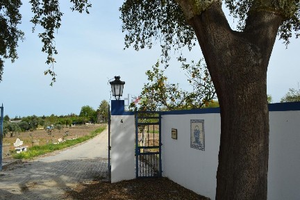 Beja
