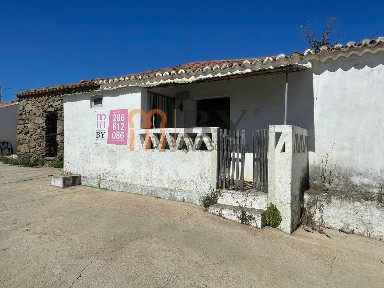 Espírito Santo, Roncanito