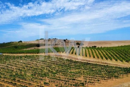 Vila de Frades, Estrada Sem Nome