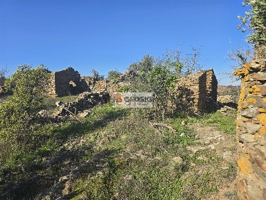 Quinta à venda em Santa Clara-a-Nova