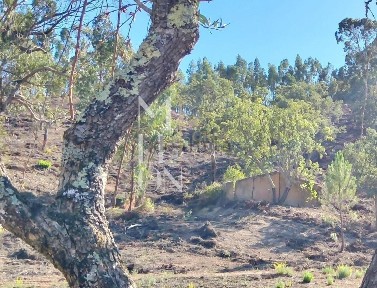 Casa ou moradia à venda em São Teotónio