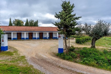 Quinta à venda em Quinta da Fé, Estrada da Alcaria, Taipinhas s/n