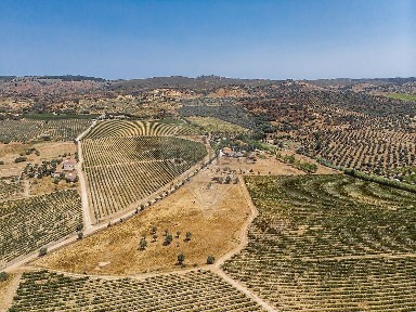 Quinta à venda em Selmes