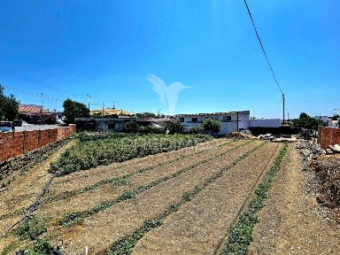 Castro Verde, Beja