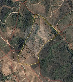 Santana da Serra, Monte da Umbria do Ribeiro, 7670-601, Ourique, Beja s/n
