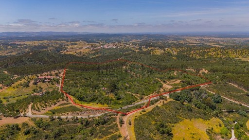 Odemira, Beja