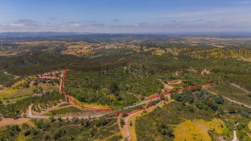 Quinta à venda em Relíquias