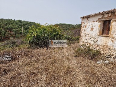 Odemira, Beja