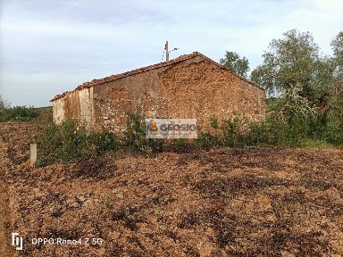Almodôvar, Beja