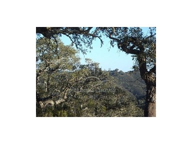 Herdade à venda em Colos