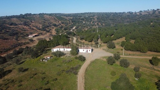 Serpa, Beja