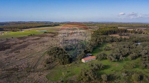 Odemira, Beja