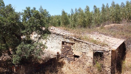 Odemira, Beja