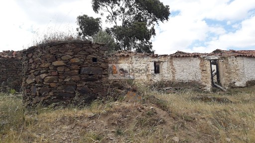 Quinta à venda em Ourique