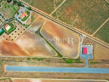 Herdade à venda em Ferreira do Alentejo