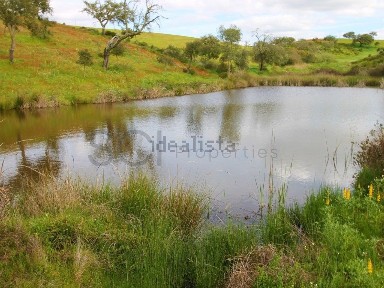 Herdade à venda na Estrada Sem Nome