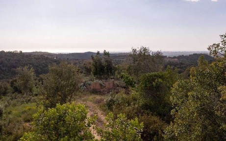 Quinta à venda em São Salvador e Santa Maria
