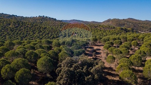 Quinta à venda em São Luís