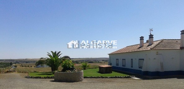 Ferreira do Alentejo, Estrada sem nome
