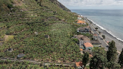 Quinta à venda em Ve3, 104