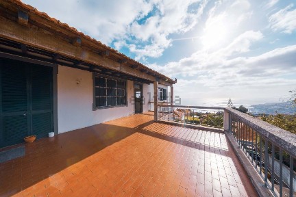 São Gonçalo, Caminho do Palheiro