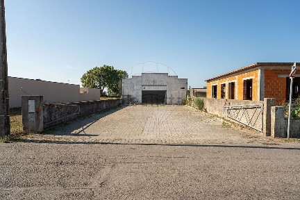 Murtosa, Rua Rui do Vouga