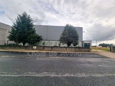 Albergaria-a-Velha, Aveiro