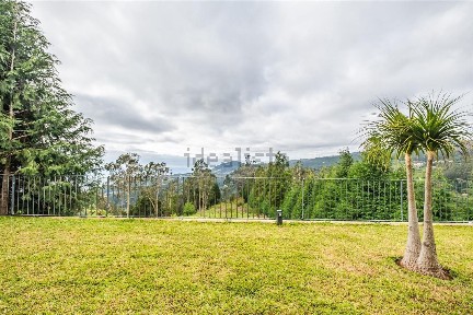 Santo António da Serra, Estrada Santo António da Serra, 477