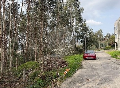Macieira de Cambra, Rua do Emigrante