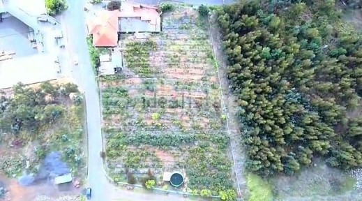 Estreito da Calheta, Caminho da Ribeira Funda, 267