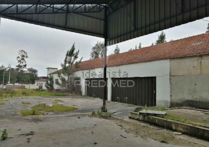 Anadia, Aveiro