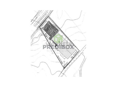 Oliveira de Azeméis - Santiago da Riba-Ul - Ul - Macinhata da Seixa - Madail