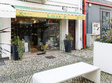 Mealhada, Rua Professor Doutor Costa Simões