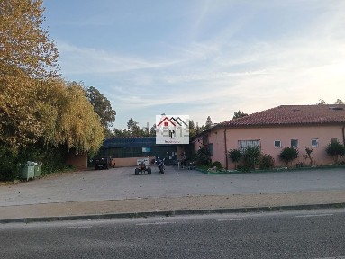 Vagos, Aveiro