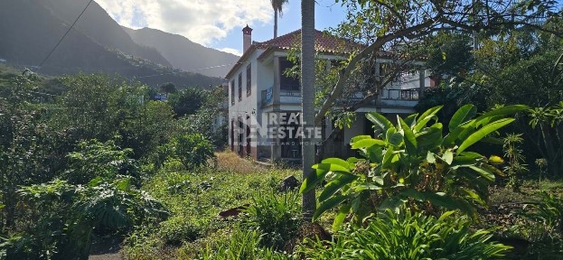 São Vicente, Madeira (Ilha)