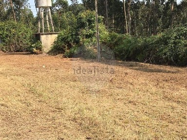 Armazém à venda em Branca