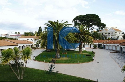 Mealhada, Aveiro