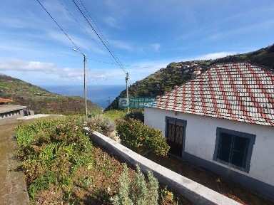 Ribeira da Janela, Vereda do Pico, 16