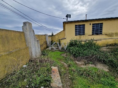 Vila de Cucujães, Rua dos Combatentes da Primeira Grande Guerra s/n