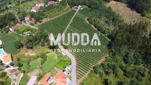 Sever do Vouga, Aveiro