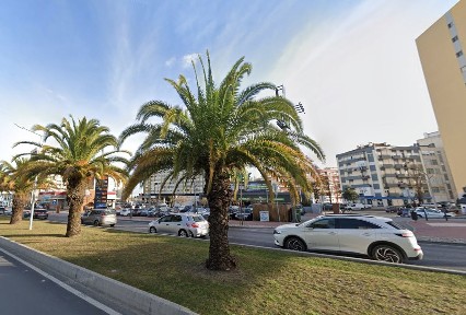 Apartamento T3 à venda na Avenida Nuno Álvares, 8