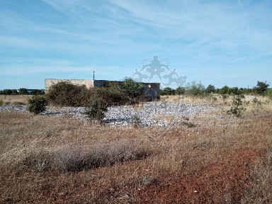 Armazém à venda em Matriz (Borba)