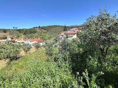 Fundão, Castelo Branco