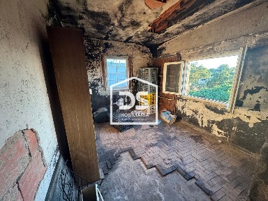 Quinta à venda em Castelo Branco